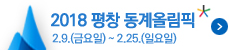 2018 평창 동계올림픽